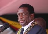 Zimbabwe: Opposition Politician Arrested for Calling Mnangagwa a Dog