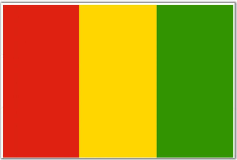 Guinée : Trois cent soixante-quinze dossiers ont été adressés au médiateur de la république depuis janvier 2017, dont deux cent vingt-huit recevables et dix-neuf traités.