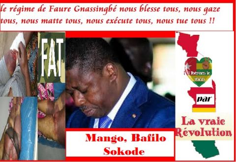 Togo: La crise togolaise, une crise de légitimité : un Président qui tue ses concitoyens est illégitime.