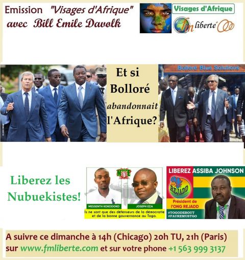 Et si Vincent Bolloré mettait ses &quot;menaces&quot; à execution et abandonnait l&#039;Afrique, que deviendrait ce continent? 