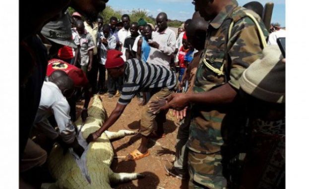 Kenyans Kill Giant Crocodile to Look for Girl&#039;s Body